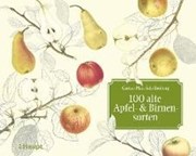 Bild von 100 alte Apfel- und Birnensorten von Pfau-Schellenberg, Gustav 