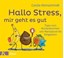 Bild von Hallo Stress, mir geht es gut von Kleinschmidt, Carola 