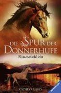 Bild von Die Spur der Donnerhufe, Band 1: Flammenschlucht von Lasky, Kathryn 