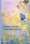 Bild von Schmetterlinge in meinem Garten von Kremer, Bruno P.