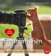 Bild von Eichhörnchen ganz nah von Adam, Heike 