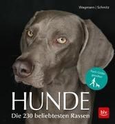 Bild von Hunde von Wegmann, Angela 