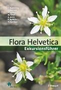 Bild von Flora Helvetica - Exkursionsführer von Eggenberg, Stefan 