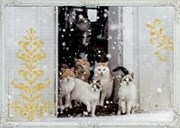 Bild von Wand-Adventskalender - Katzen-Winterträume