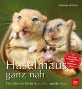 Bild von Haselmaus ganz nah von Seybold, Korinna