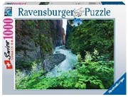 Bild von C+R Aareschlucht