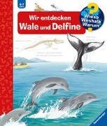 Bild von Wieso? Weshalb? Warum? Band 41: Wir entdecken Wale und Delfine von Rübel, Doris 