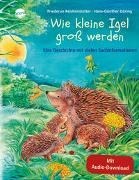 Bild von Wie kleine Igel gross werden von Reichenstetter, Friederun 