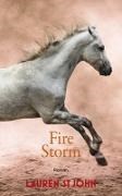 Bild von Fire Storm von St John, Lauren 