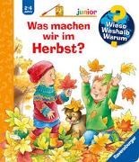 Bild von Wieso? Weshalb? Warum? junior, Band 61: Was machen wir im Herbst? von Erne, Andrea 