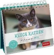 Bild von Kluge Katzen 2022 von Groh Verlag