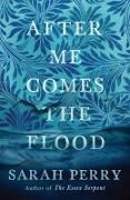 Bild von After Me Comes the Flood von Perry, Sarah