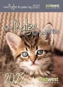 Bild von Eine Katze für jeden Tag 2022 Tagesabreißkalender