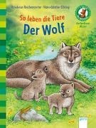 Bild von Der Bücherbär. Sachwissen für Erstleser / So leben die Tiere. Der Wolf von Reichenstetter, Friederun 