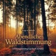 Bild von Abendliche Waldstimmung von Nature, Kings Of (Komponist)