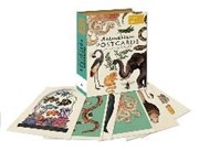 Bild von Animalium Postcards von Scott, Katie (Illustr.)