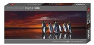 Bild von King Penguins Puzzle von van den Heever, Wim