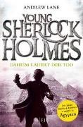 Bild von Young Sherlock Holmes von Lane, Andrew 