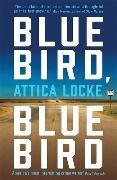 Bild von Bluebird, Bluebird von Locke Attica