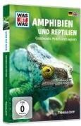 Bild von WAS IST WAS DVD Amphibien und Reptilien. Grasfrosch, Molch und Leguan von Tessloff Verlag Ragnar Tessloff GmbH & Co.KG (Hrsg.)