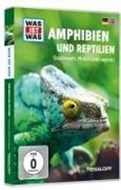 Bild von WAS IST WAS DVD Amphibien und Reptilien. Grasfrosch, Molch und Leguan von Tessloff Verlag Ragnar Tessloff GmbH & Co.KG (Hrsg.)