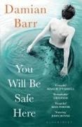 Bild von You Will Be Safe Here von Barr, Damian