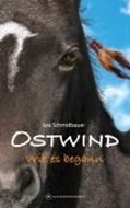 Bild von OSTWIND - Wie es begann von Schmidbauer, Lea