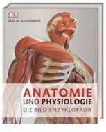 Bild von Anatomie und Physiologie