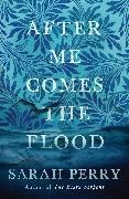 Bild von After Me Comes the Flood von Perry, Sarah