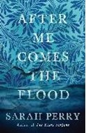 Bild von After Me Comes the Flood von Perry, Sarah